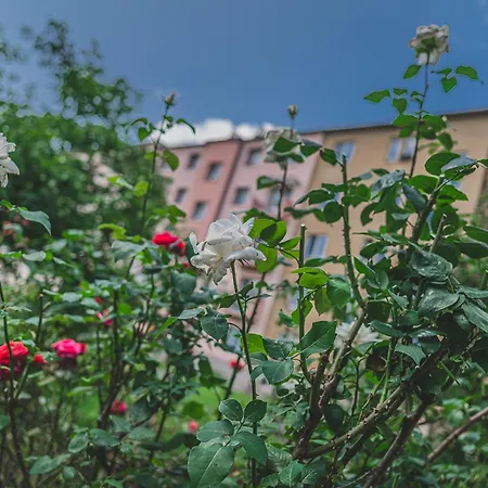 Rodinny Se Zahradou A Virivkou Hradec Králové